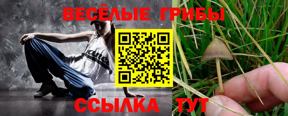 Галлюциногенные грибы Psilocybe  Вход с VPN  Мурманск  Псилоцибиновые грибы GOLDEN TEACHER 