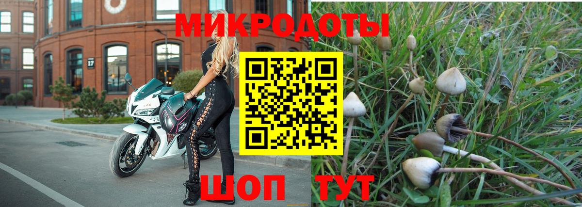 Псилоцибиновые грибы MAGIC MUSHROOMS Мурманск